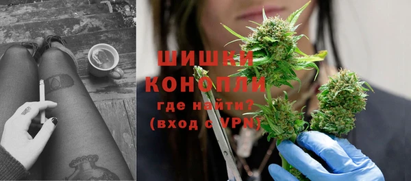 ГАЛЛЮЦИНОГЕННЫЕ ГРИБЫ Магас